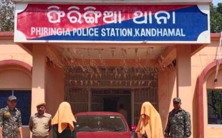 ଫିରିଙ୍ଗିଆ ପୁଲିସ ଦ୍ଵାରା କାର୍ ସହ ୩୦କିଲୋ ଗଞ୍ଜେଇ ଜବତ, ୨ ଗିରଫ