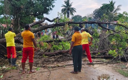 କାଳବୈଶାଖୀରେ ଉପୁଡ଼ିଲା ଗଛ ଶିରାଗୁଡା ସାହି ରାସ୍ତା ଅବରୋଧ