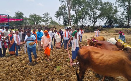 ଅକ୍ଷୟ ତୃତୀୟାରେ ବିଧାୟକଙ୍କ ଦ୍ୱାରା ଅଖିମୁଠି ଅନୁକୂଳ |