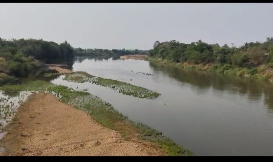 ପାଣି ରେ ବୁଡି ଯୁବକ ଙ୍କ ମୃତ।