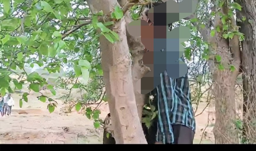 ପ୍ରେମିଯୁଗଲ ଙ୍କ ଝୁଲନ୍ତା ମ୍ରୁତଦେହ ଠାବ।