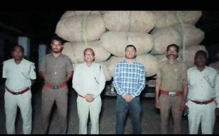 ଲକ୍ଷାଧିକ ଟଙ୍କା ର କେନ୍ଦୁ ପତ୍ର ଚୋରା ଚାଲାଣ ଗାଡି କୁ ଧରିଲା ବନ ବିଭାଗ, ଡ୍ରାଇଭର ଫେରାର ହେଲପର କୁ କାବୁକଲେ ବନବିଭାଗ କର୍ମଚାରୀ l