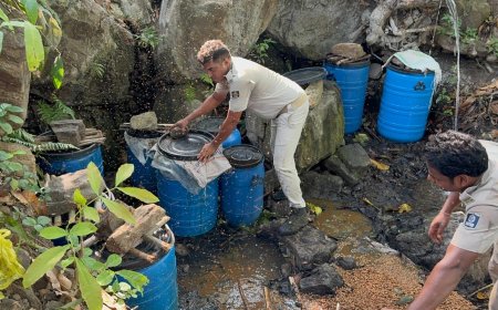 ଖାଇଙ୍ଗ ଜଙ୍ଗଲ ନାଲା ପାଲଟିଛି ମଦ ମାଫିଆ ଙ୍କ ହବ l