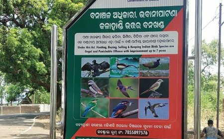 କଳାହାଣ୍ଡି ଉତ୍ତର ବନଖଣ୍ଡ ତରଫରୁ ପକ୍ଷୀ ଶିକାର ରୋକିବା ପାଇଁ ଜନ-ସଚେତନତା  ।