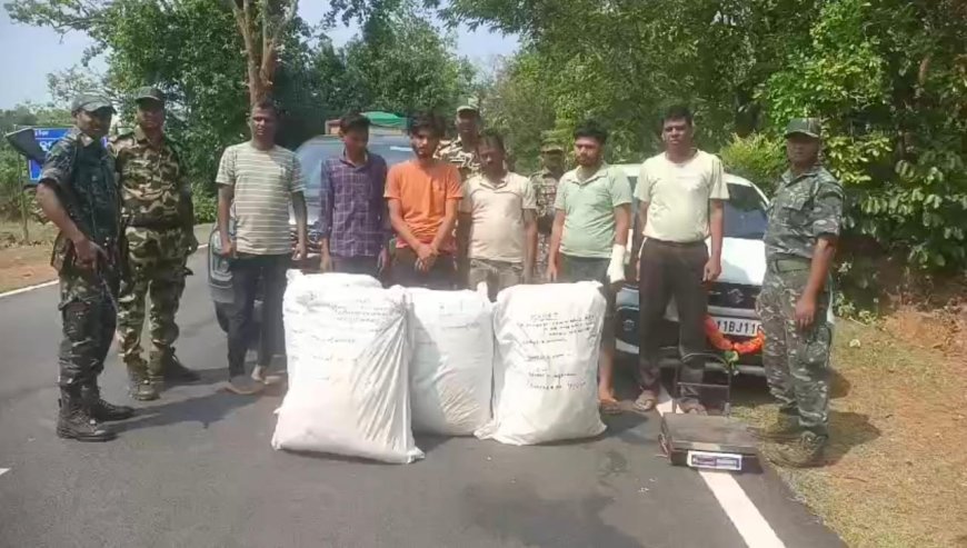 ଫିରିଙ୍ଗିଆ ପୋଲିସ ର ସଫଳତା I ଫିଲ୍ମ ଷ୍ଟାଇଲ ରେ ଗୋଡେଇ ଗୋଡେଇ ବିହାରୀ ଗଞ୍ଜେଇ ମାଫିଆ ଙ୍କୁ ଧରିଲା ପୋଲିସ I ଦୁଇଟି କାକଜାରୀ କାର ସହ ୯୦ କିଲୋ ଗଞ୍ଜେଇ ଜବତ ଚାରି ବିହାରୀ ଗଞ୍ଜେଇ ମାଫିଆ ଗିରଫ I