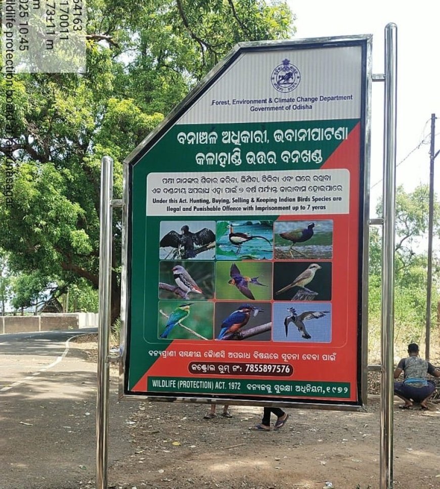 କଳାହାଣ୍ଡି ଉତ୍ତର ବନଖଣ୍ଡ ତରଫରୁ ପକ୍ଷୀ ଶିକାର ରୋକିବା ପାଇଁ ଜନ-ସଚେତନତା ।