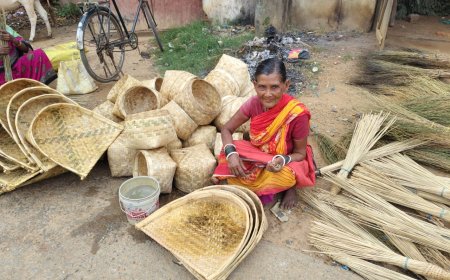 ଲୋପ ପାଇବାକୁ ବସିଲାଣି ବାଉଁଶ ପାତିଆରେ ନିର୍ମିତ ସାମଗ୍ରୀ।