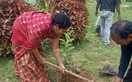 ମାଁ ନାମରେ ଗୋଟିଏ ଗଛ