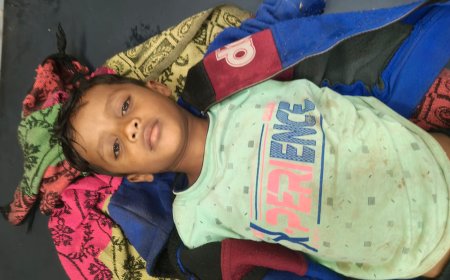 ଅଜଣା ବିଷାକ୍ତ ଖାଦ୍ୟ ଖାଇ ଦୁଇ ଶିଶୁ ଗୁରୁତର।