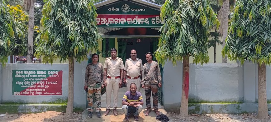 ଝରୀଗାଁ ବନବିଭାଗ ତରପରୁ 40 କଇଁଛ ଉଦ୍ଧାର।
