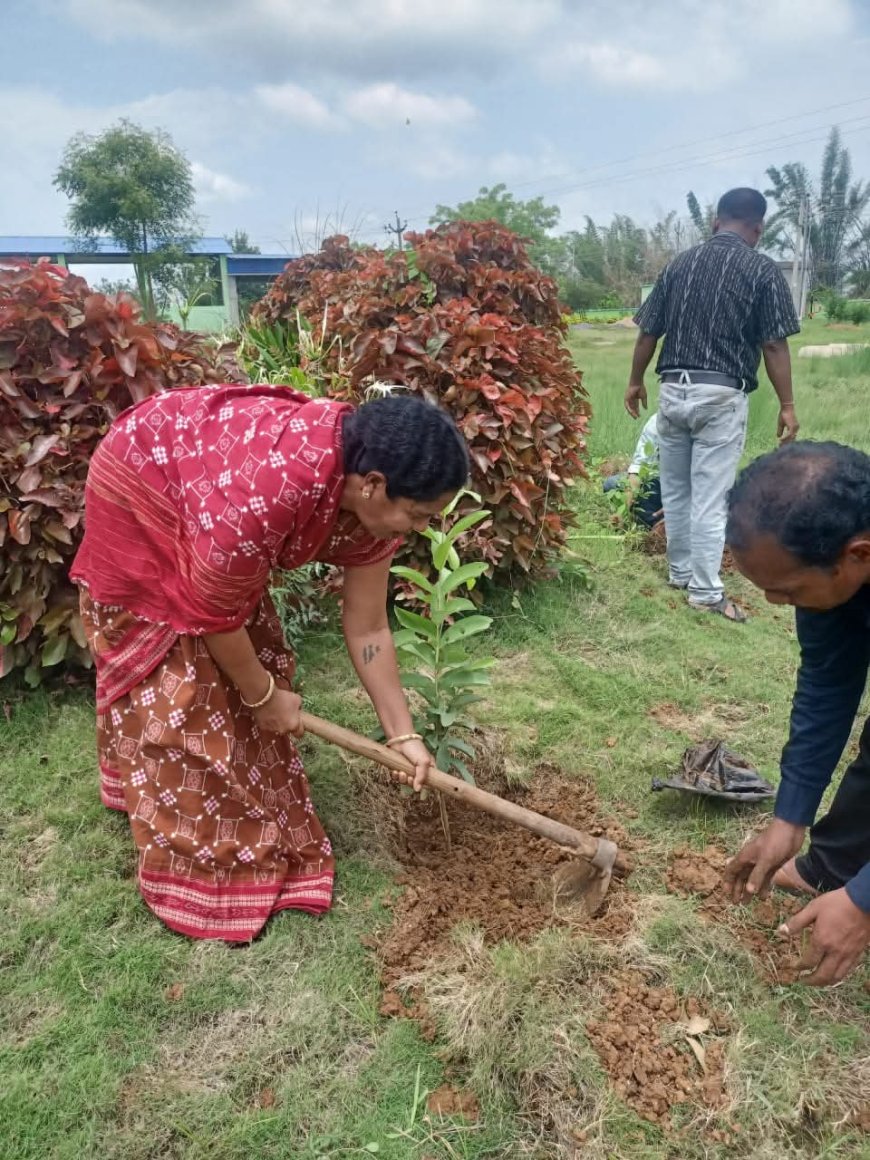 ମାଁ ନାମରେ ଗୋଟିଏ ଗଛ