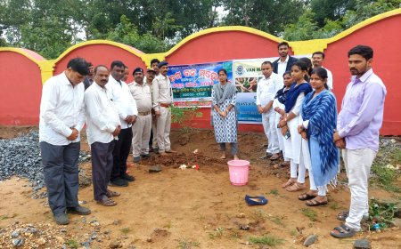 ଯେଏମଏଫସି କୋର୍ଟରେ 76ତମ ବନ ମହୋତ୍ସବ ପାଳିତ ।