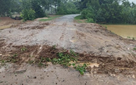 ଜଳ ସେଚନ ପାଇଁ ରାସ୍ତା ଖୋଳି ପକାଯାଇଥିଲା ପାଇପ,ଲଗାଣ ବର୍ଷାରେ ତିନୋଟି ସ୍ଥାନରେ ରାସ୍ତା ଦବିଲା,ଘେରବନ୍ଦୀ ମଧ୍ୟରେ ବାଦିଗୁଡ଼ା ଗ୍ରାମବାସ।