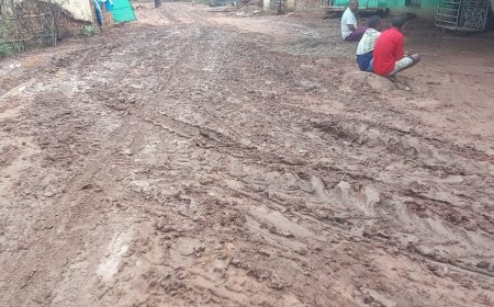 କାଦୁଅରେ ଭାସୁଛି ଗାଁ ଦାଣ୍ଡ, ବାରମ୍ବାର ଅଭିଯୋଗ ପରେ ବି ପ୍ରଶାସନ ନିରବ ।