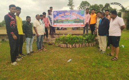 ମେଦନା ଠାରେ ୭୬ତମ ବନ ମହୋତ୍ସବ ସପ୍ତାହ ପାଳିତ।