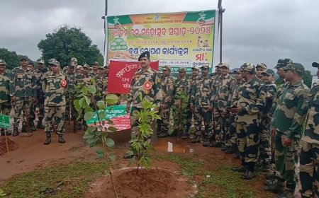 ବାଲିଗୁଡ଼ା ସହରରେ 76ତମ ବନଖଣ୍ଡ ପକ୍ଷରୁ ସପ୍ତାହ ମହୋତ୍ସବ 2025 l ଏକ ପେଡ଼ ମା କେ ନାମ  l