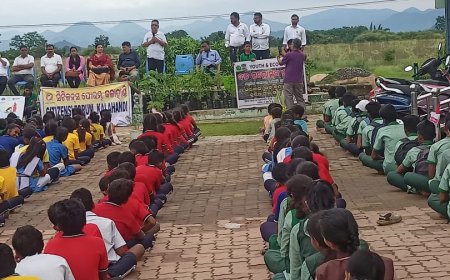 କୁଲିଆମାଲ ସରକାରୀ ଉଚ୍ଚ ବିଦ୍ୟାଳୟ ରେ ବୃକ୍ଷରୋପଣ କାର୍ଯ୍ୟକ୍ରମ