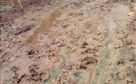 ଗାଁ ଦାଣ୍ଡରେ କାଦୁଆ ପଚ ପଚ ରାସ୍ତା କଙ୍କ୍ରିଟ୍ ରାସ୍ତା ନିର୍ମାଣ ପାଇଁ ପ୍ରଶାସନ ଦୃଷ୍ଟି ଦେବାକୁ ଗ୍ରାମବାସୀଙ୍କ ଦାବି ।