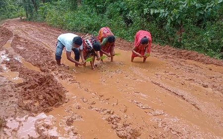 ଗ୍ରାମ ବାସି ଅତିଷ୍ଠ ହୋଇ ରାସ୍ତାକୁ ଚାଷ ଜମିକ କରିଥିବା ଦୃଶ୍ୟ ସାମନାକୁ ଆସିଛି। କାଦ ପଚ ପଚ ରାସ୍ତା ନାହିଁ ନ ଥିବା ଦୁର୍ଦ୍ଦଶାର ଶିକାର ହେଉଛନ୍ତି ଅଞ୍ଚଳବାସୀ l