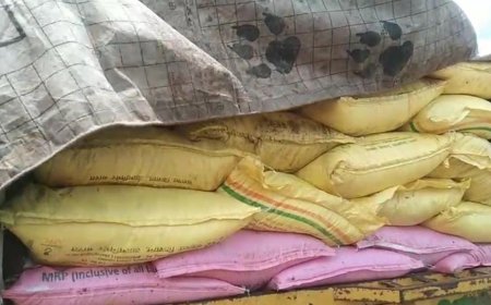 ସାର କଳା ବଜାର ଯୋଗୁଁ ଚାଷୀ ହନ୍ତସନ୍ତ।