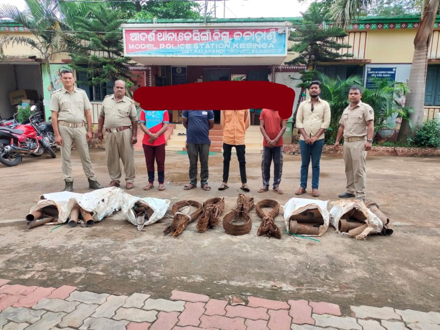 କେସିଙ୍ଗା ସ୍ପିନିଙ୍ଗ ମିଲ ରୁ ମୂଲ୍ୟବାନ ଜିନିଷ ପତ୍ର ଚୋରି l
