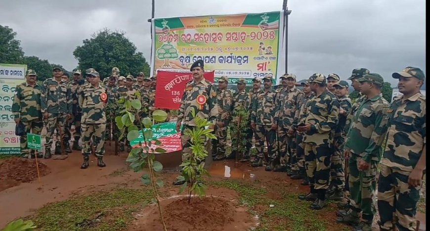 ବାଲିଗୁଡ଼ା ସହରରେ 76ତମ ବନଖଣ୍ଡ ପକ୍ଷରୁ ସପ୍ତାହ ମହୋତ୍ସବ 2025 l ଏକ ପେଡ଼ ମା କେ ନାମ l