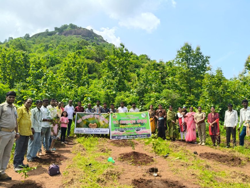 ବନ ମହୋତ୍ସବ ବୃକ୍ଷ ରୋପଣ କାର୍ଯ୍ୟକ୍ରମ, ଗୋଟିଏ ବୃକ୍ଷ ବହୁ ଜୀବନ ରକ୍ଷା
