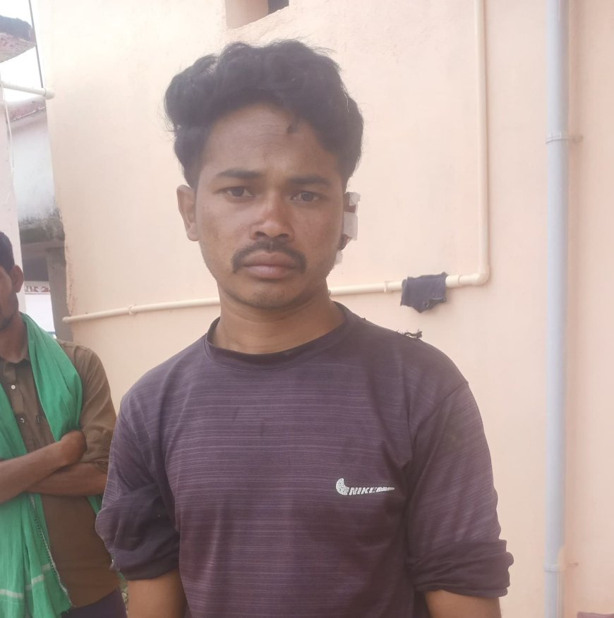 ଭାଲୁ ଆକ୍ରମଣରେ ଯୁବକ ଗୁରୁତର।