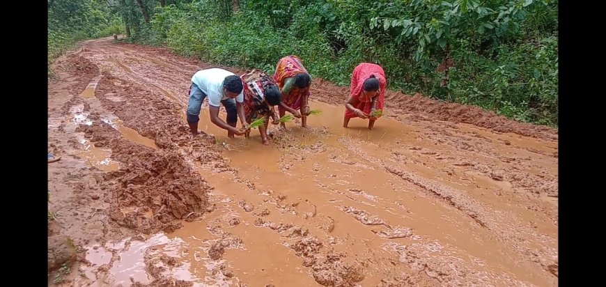 ଗ୍ରାମ ବାସି ଅତିଷ୍ଠ ହୋଇ ରାସ୍ତାକୁ ଚାଷ ଜମିକ କରିଥିବା ଦୃଶ୍ୟ ସାମନାକୁ ଆସିଛି। କାଦ ପଚ ପଚ ରାସ୍ତା ନାହିଁ ନ ଥିବା ଦୁର୍ଦ୍ଦଶାର ଶିକାର ହେଉଛନ୍ତି ଅଞ୍ଚଳବାସୀ l