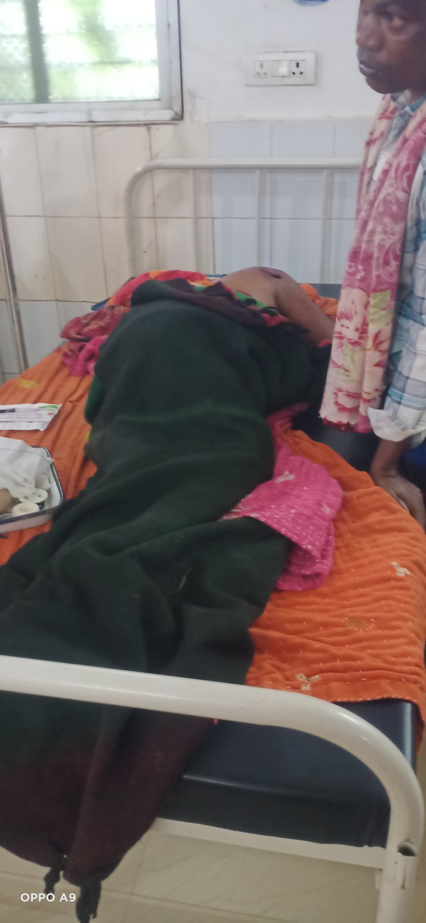 ଭାଲୁ ଆକ୍ରମଣରେ ବୃଦ୍ଧା ଗୁରୁତର ।