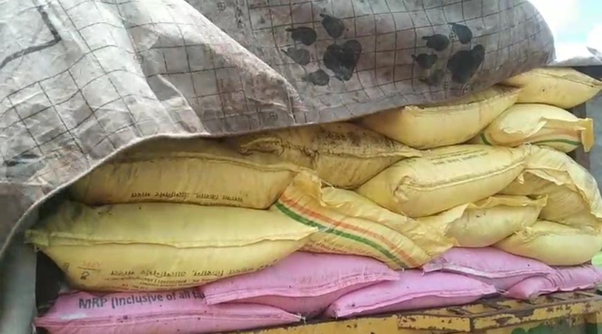ସାର କଳା ବଜାର ଯୋଗୁଁ ଚାଷୀ ହନ୍ତସନ୍ତ।
