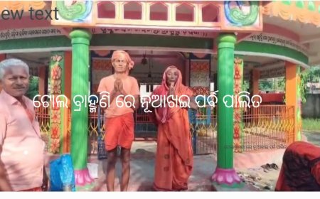 ଟୋଲ୍ ବ୍ରାହ୍ମଣୀ ଗାଁ ରେ" ନୂଆଁଖାଇ "ପର୍ବ ପାଳିତ