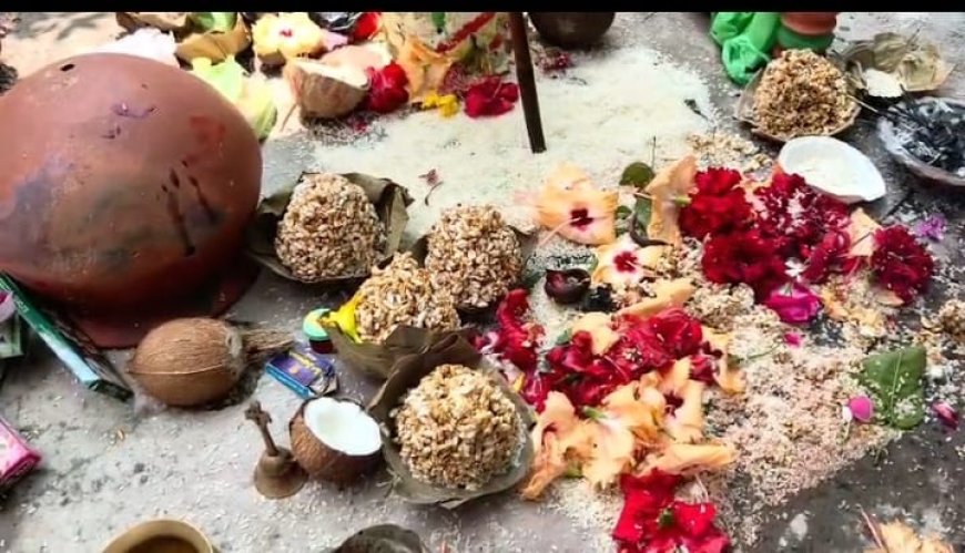 ଆଦିବାସୀ ପରମ୍ପରା ରେ ଡ଼ଙ୍ଗର ଯାତ୍ରା ବର୍ଷା ପାଇଁ ପାହାଡ଼ ଚଢିଲେ ୧୨ ଖଣ୍ଡ ଗାଁର ଦେବାଦେବୀ