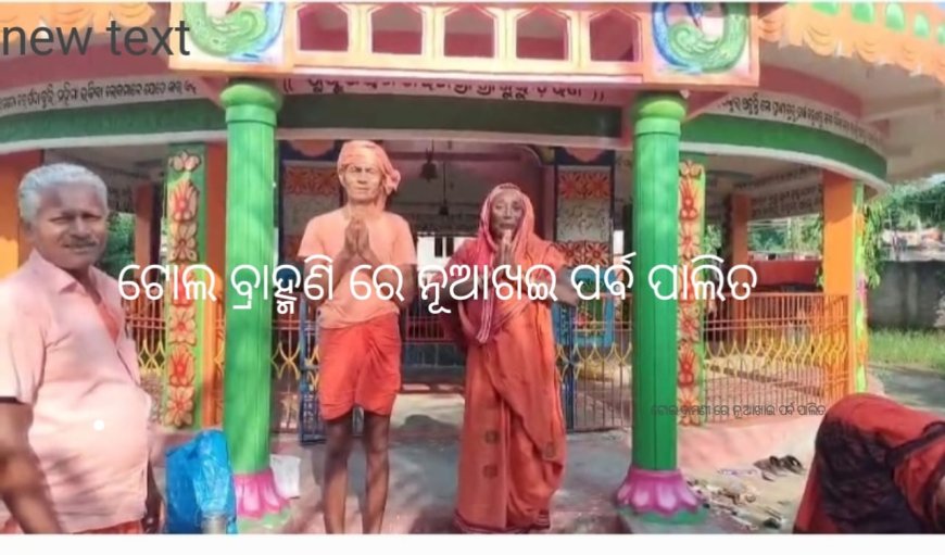 ଟୋଲ୍ ବ୍ରାହ୍ମଣୀ ଗାଁ ରେ" ନୂଆଁଖାଇ "ପର୍ବ ପାଳିତ