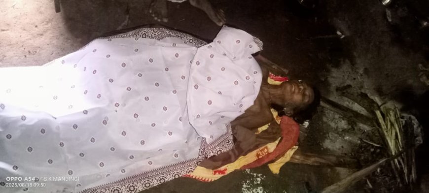 ସ୍ଵାମୀ ଙ୍କ ମାଡ଼ରେ ମହିଳାଙ୍କ ମୃତ୍ୟୁ ଅଭିଯୋଗ କରିଛନ୍ତି ମୃତଙ୍କ ଭାଇ।