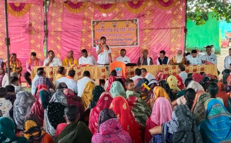 ସାହୁ ସମାଜର ନୁଆଁଖାଇ ଭେଟଘାଟ ଅନୁଷ୍ଠିତ ।