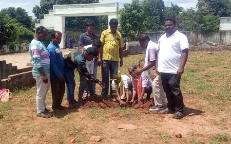 ଫୁଫୁଗାଁ ସରକାରୀ ଉଚ୍ଚ ମାଧ୍ୟମିକ ବିଦ୍ୟାଳୟ ପରିସରରେ ବୃକ୍ଷରୋପଣ ।