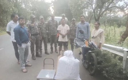 ଫିରିଙ୍ଗିଆ ପୋଲିସ ଦ୍ୱାରା ବାଇକ ସହ ୧୨ କିଲୋ ଗଞ୍ଜେଇ ଜବତ ଜଣେ ଗିରଫ I