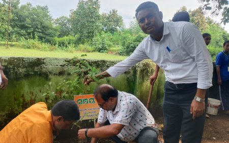 ସେବା ପର୍ବ ପାଳନ ଉପଲକ୍ଷେ ଆର୍ଥିକ ସାକ୍ଷରତା ଓ ବୃକ୍ଷ ରୋପଣ କାର୍ଯ୍ୟକ୍ରମ।