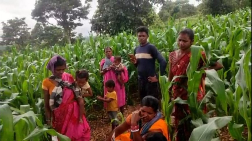୪ଟି ଟାୱାର ଥାଇ ରହୁନାହିଁ ନେଟୱାର୍କ, ସମସ୍ୟାରେ ଚକଲାପଦର ପଞ୍ଚାୟତର ବାସୀ।