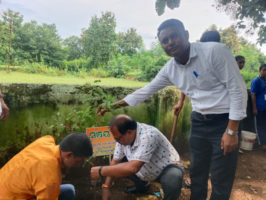 ସେବା ପର୍ବ ପାଳନ ଉପଲକ୍ଷେ ଆର୍ଥିକ ସାକ୍ଷରତା ଓ ବୃକ୍ଷ ରୋପଣ କାର୍ଯ୍ୟକ୍ରମ।