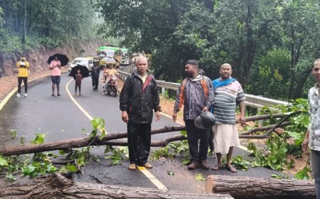 ରାସ୍ତା ସଫା କରି ଯାତାୟାତ ପାଇଁ ସୁବିଧା କଲେ ପୂର୍ବତନ ବିଧାୟକ ।