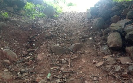 ଦୀର୍ଘଦିନର ପାଦଚଲା ରାସ୍ତାକୁ ପକ୍କା ରାସ୍ତା ନିର୍ମାଣ କରିବାକୁ ଗଦଗଦା ଗ୍ରାମବାସୀଙ୍କ ଦାବି।