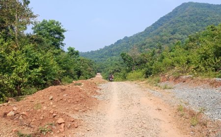 ଦାହିମାଲ-ଗୋତମୁଣ୍ଡା ରାସ୍ତା, ସରୁଛି ଅବଧି ଆଗେଇ ପାରୁନି କାମ ।