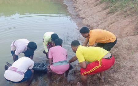 ମହୁମାଛି ଆକ୍ରମଣ ହେଲା କାଳ,ପାଣିରେ ବୁଡି ବୃଦ୍ଧ ମୃତ |