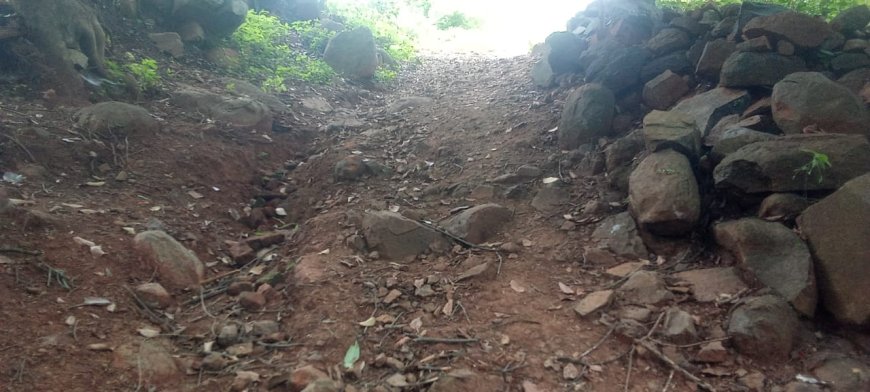 ଦୀର୍ଘଦିନର ପାଦଚଲା ରାସ୍ତାକୁ ପକ୍କା ରାସ୍ତା ନିର୍ମାଣ କରିବାକୁ ଗଦଗଦା ଗ୍ରାମବାସୀଙ୍କ ଦାବି।