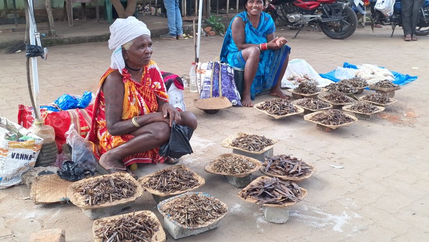 ବଜାରରେ ତୁରୁ ଶୁକଶି ର ଚାହିଦା ଅଧିକ ।