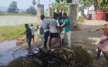 ସେବା ମହାନ୍ କାର୍ଯ୍ୟ ।