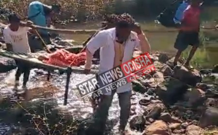 ଖଟିଆ ଭାରରେ ବୁହାହୋଇ ଡାକ୍ତରଖାନା ଗଲେ ଗର୍ଭବତୀ ।