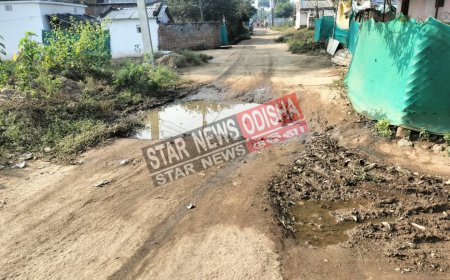 ଜୟନ୍ତୀ ନଗର ରାସ୍ତା ମରାମତି କରିବାକୁ ବସ୍ତି ବାସୀଙ୍କ ଦାବି।